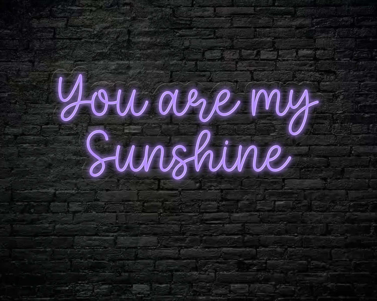 You  are my sunshine Neon Sign