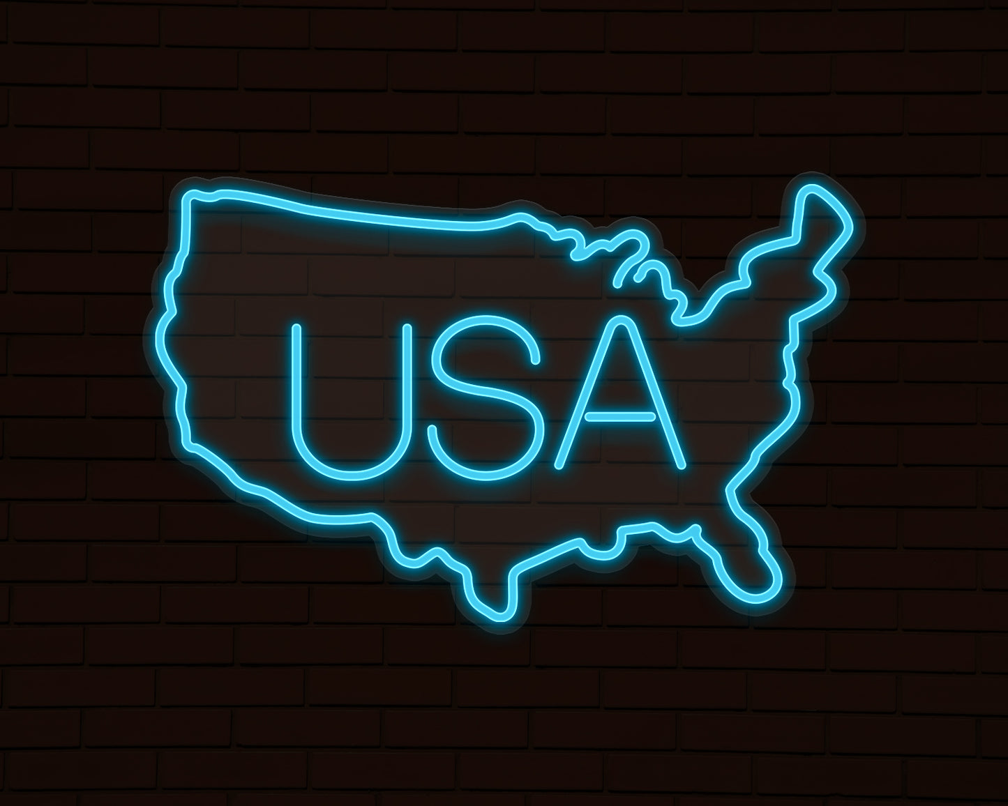 USA Map Neon Sign