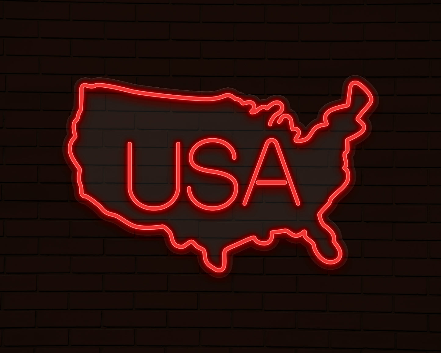 USA Map Neon Sign
