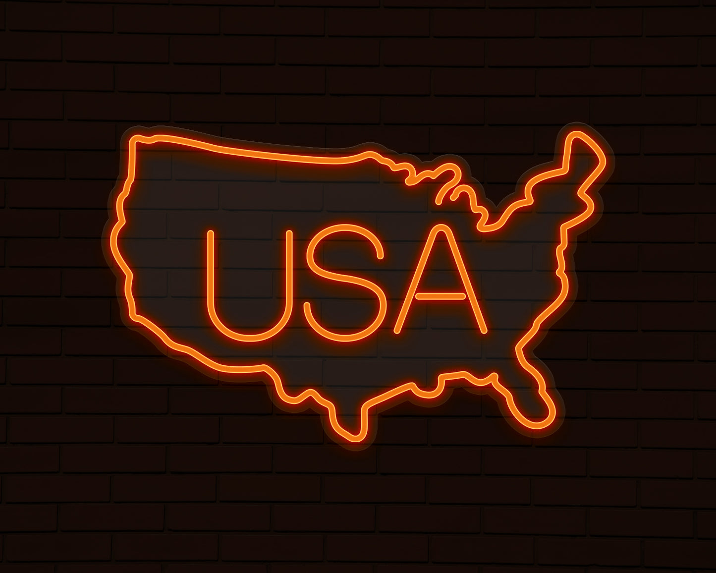 USA Map Neon Sign