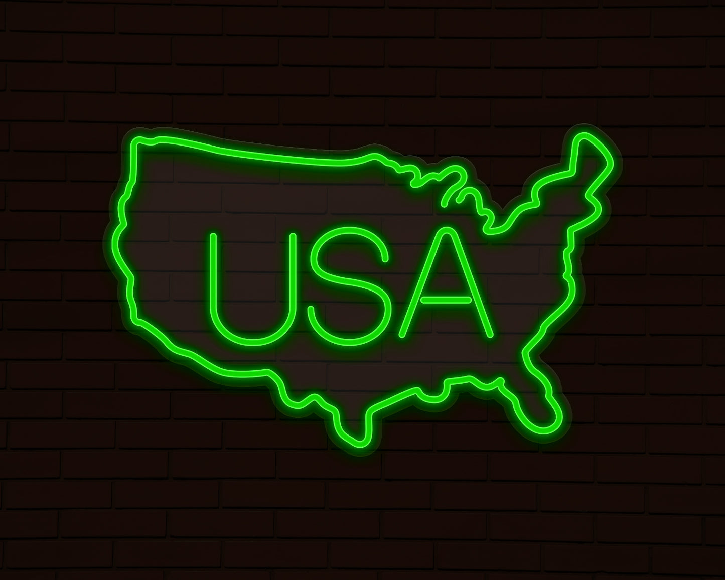 USA Map Neon Sign